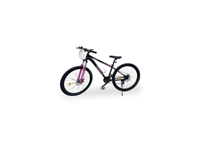 Bicicleta aluminio randers r29 bke-2129-sr