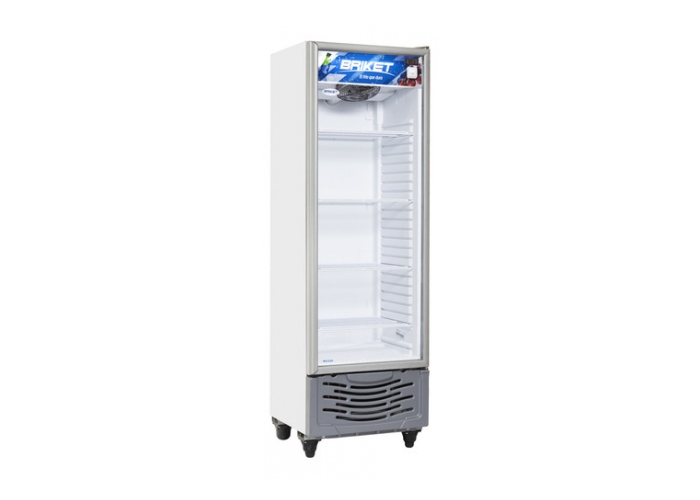 Exhibidora de congelados briket evbt4300