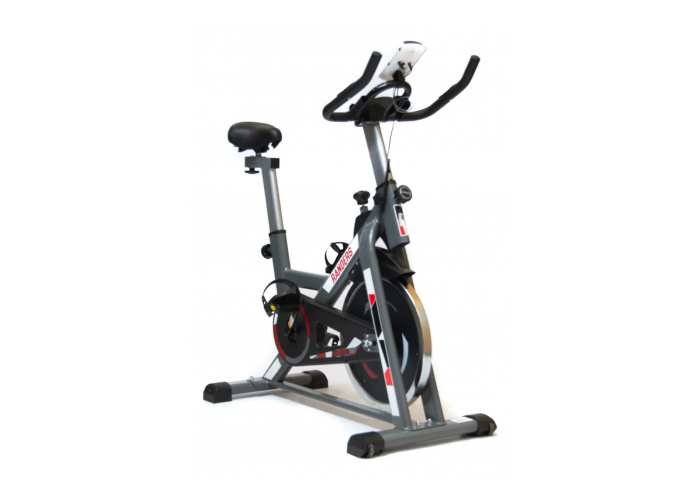 Bicicleta spinning randers arg-874sp-r